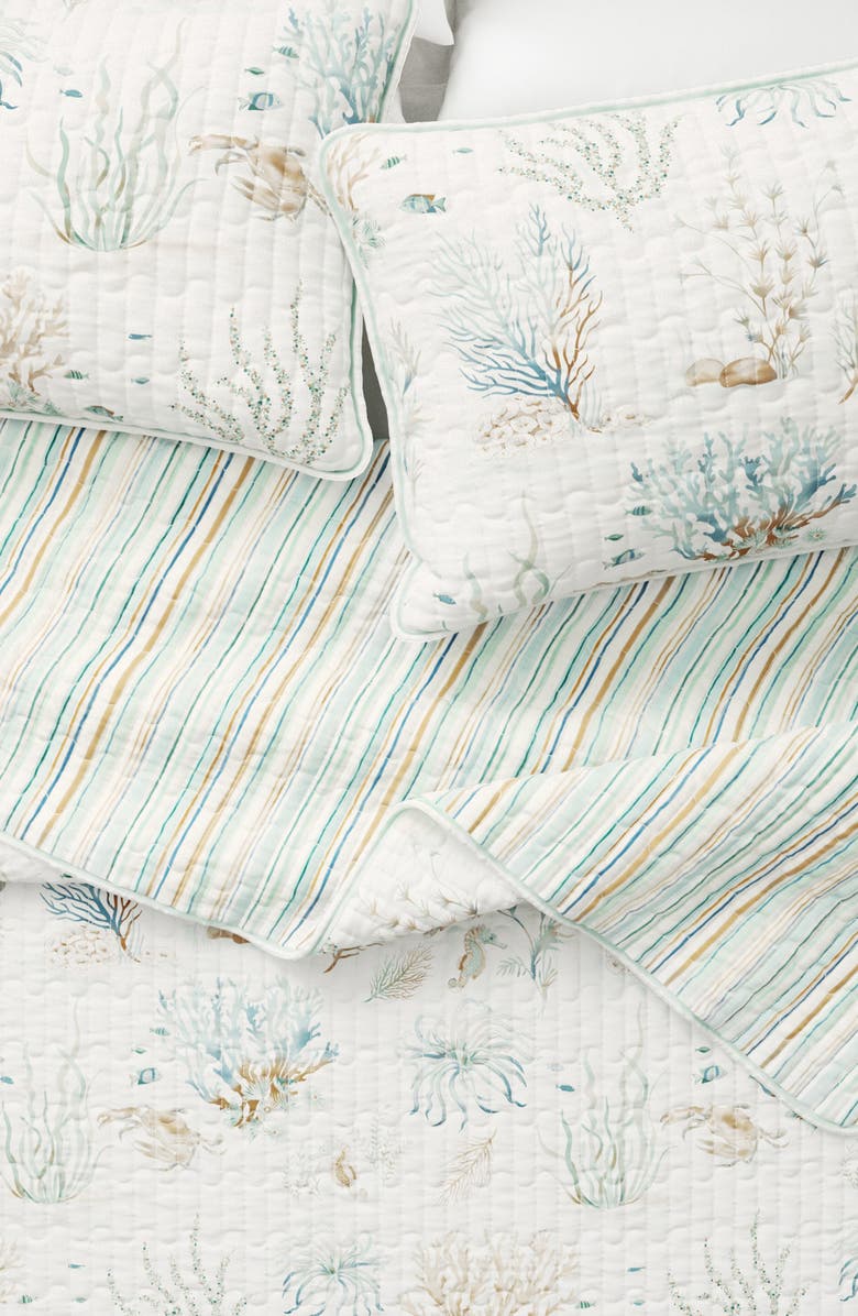 Woven & Weft Coastal Print Cotton Quilt Set, Main, color, Aqua Grove