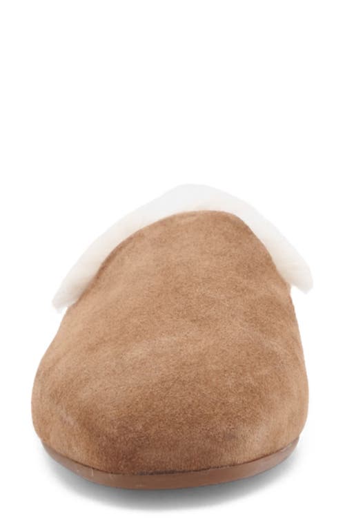 Aquatalia Rosabella Faux Fur Lined Leather Mule In Brown