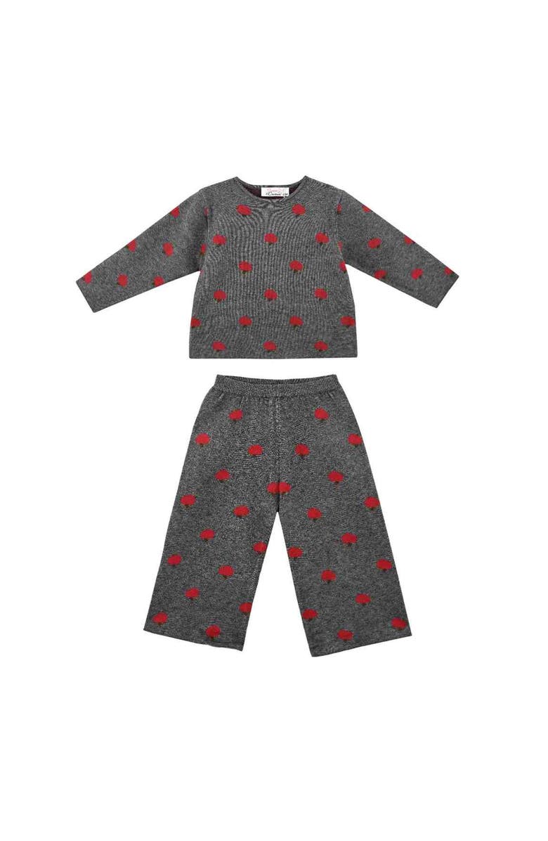 Sweet Cactus Apple Knit Outfit Set, Main, color, Grey