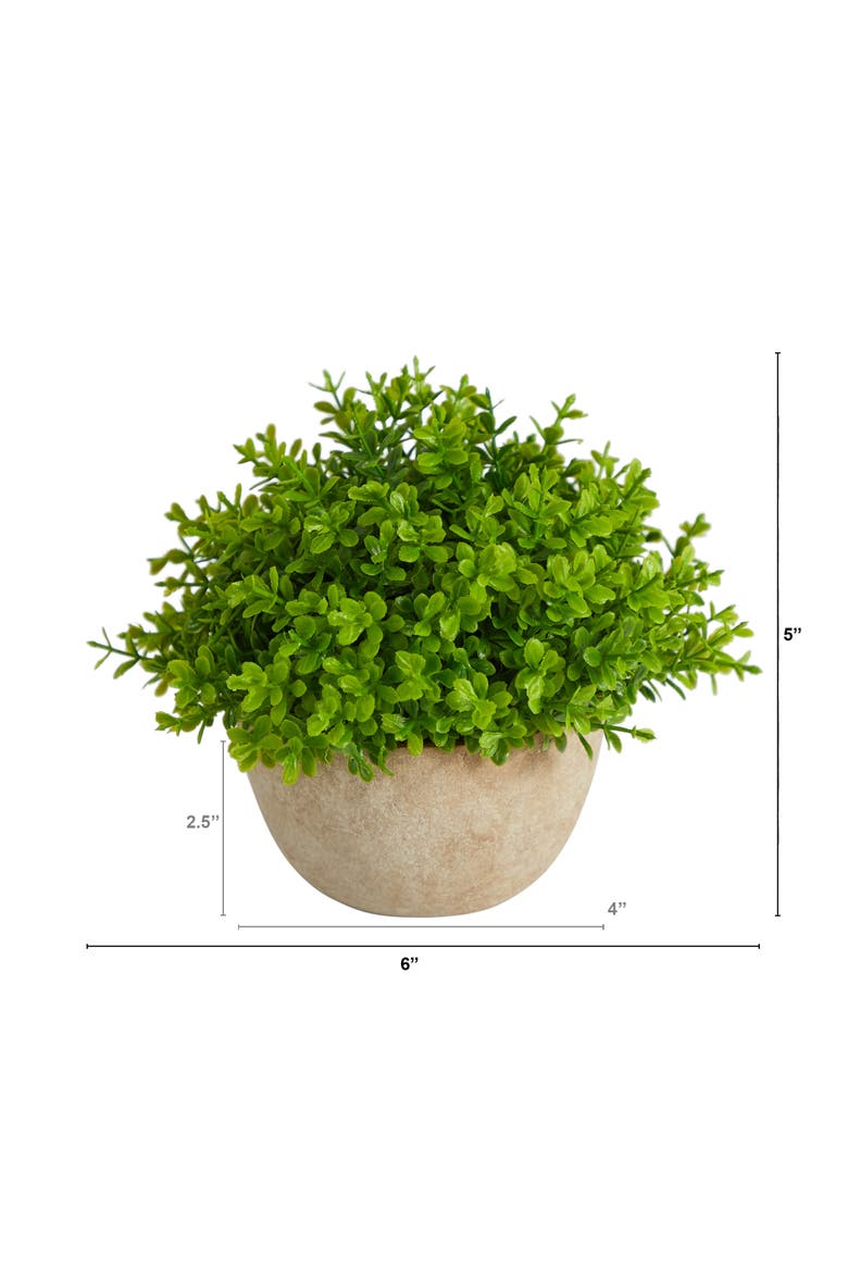 5-in Boxwood Artificial Plant in Decorative Planter, Alternate, color, Green