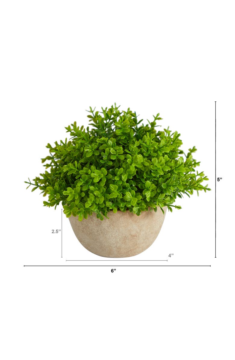 NEARLY NATURAL 5-in Boxwood Artificial Plant in Decorative Planter, Alternate, color, Green