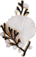 Panacea Shell Brooch