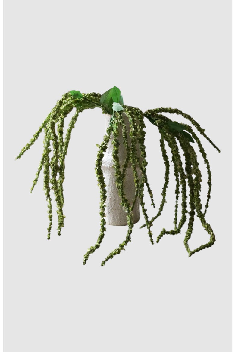 Green Amaranthus Flower, Alternate, color, Green