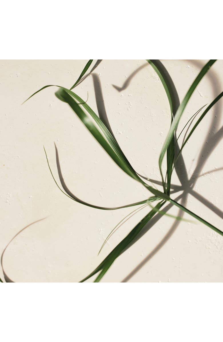 Chloé Atelier des Fleurs Papyrus Eau de Parfum, Alternate, color, 