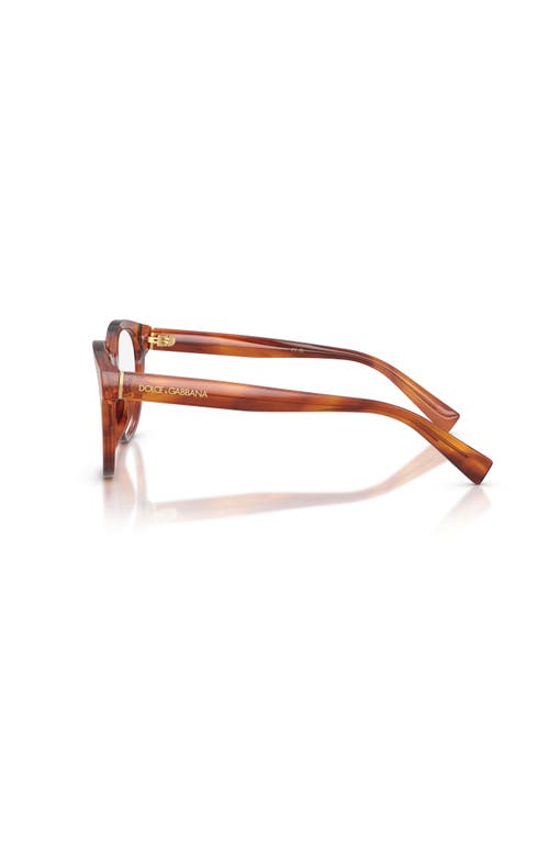 Dolce & Gabbana Dolce&gabbana 50mm Phantos Optical Glasses In Brown