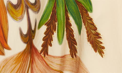 Ulla Johnson Long Sleeve Tie Neck Blouse In Neutral