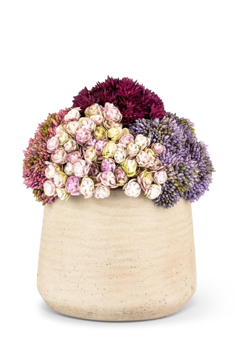 Neriah Mini Sedum Arrangement, Main, color, Ash