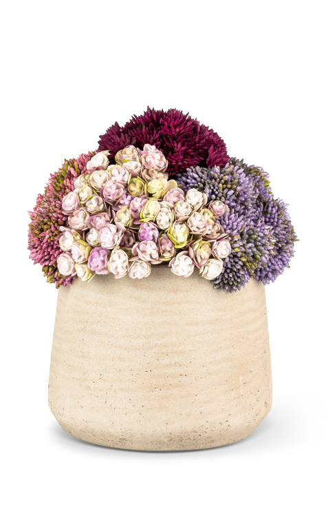 Neriah Mini Sedum Arrangement