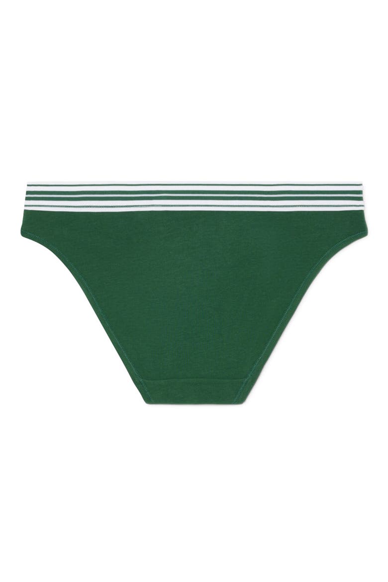 Stretch Cotton Bikini Briefs, Alternate, color, GREEN