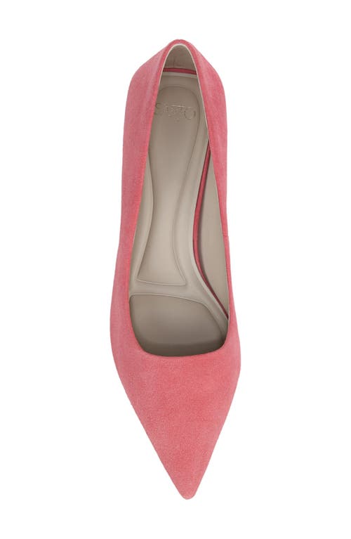 SARTO BY FRANCO SARTO SARTO BY FRANCO SARTO DIVA KITTEN HEEL POINTED TOE PUMP
