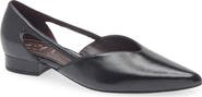 27 EDIT Naturalizer Sydney Pointed Toe Flat