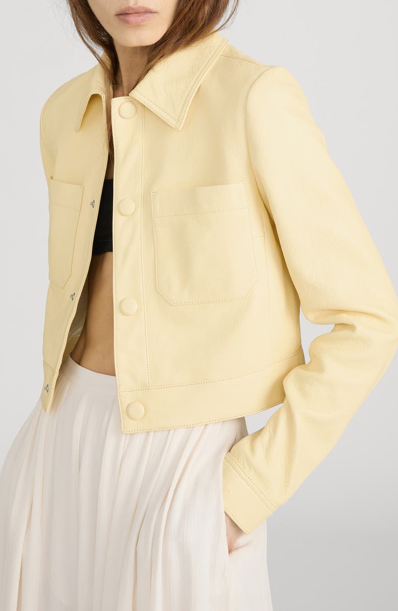 FRAME The Small Leather Jacket, Alternate, color, 