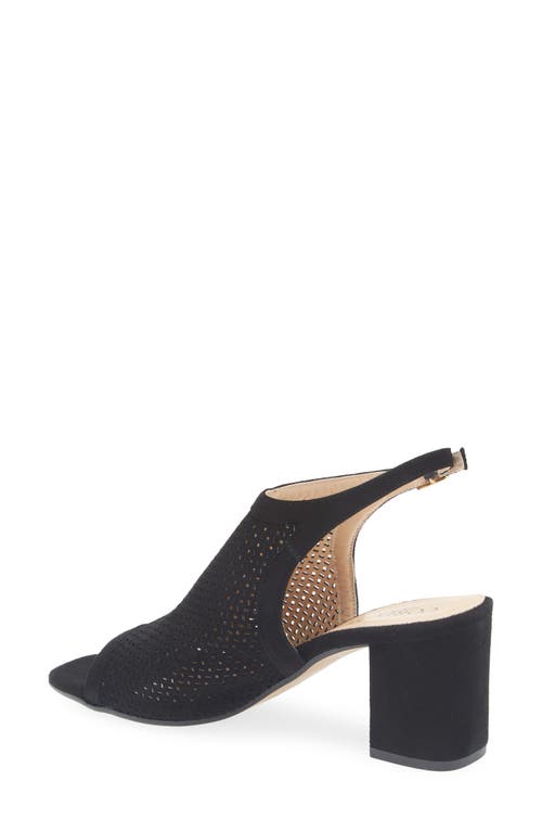 Cordani Illia Ankle Strap Sandal In Black