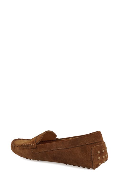 National Comfort Talulah Penny Loafer In Brown