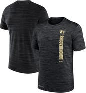 Nike Men's Nike Black Wake Forest Demon Deacons 2024 Sideline Velocity Legend Performance T-Shirt