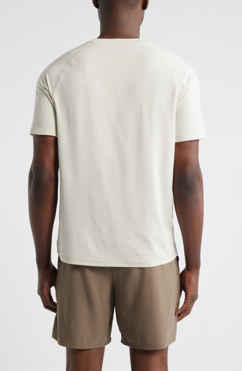 Zella Endurance Performance T-Shirt, Alternate, color, Grey Moonbeam