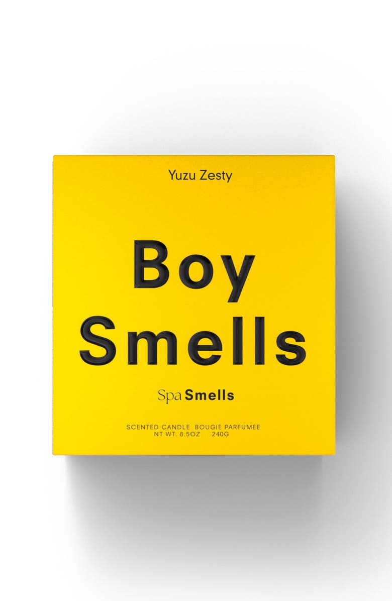 Boy Smells Yuzu Zesty Candle, Alternate, color, 