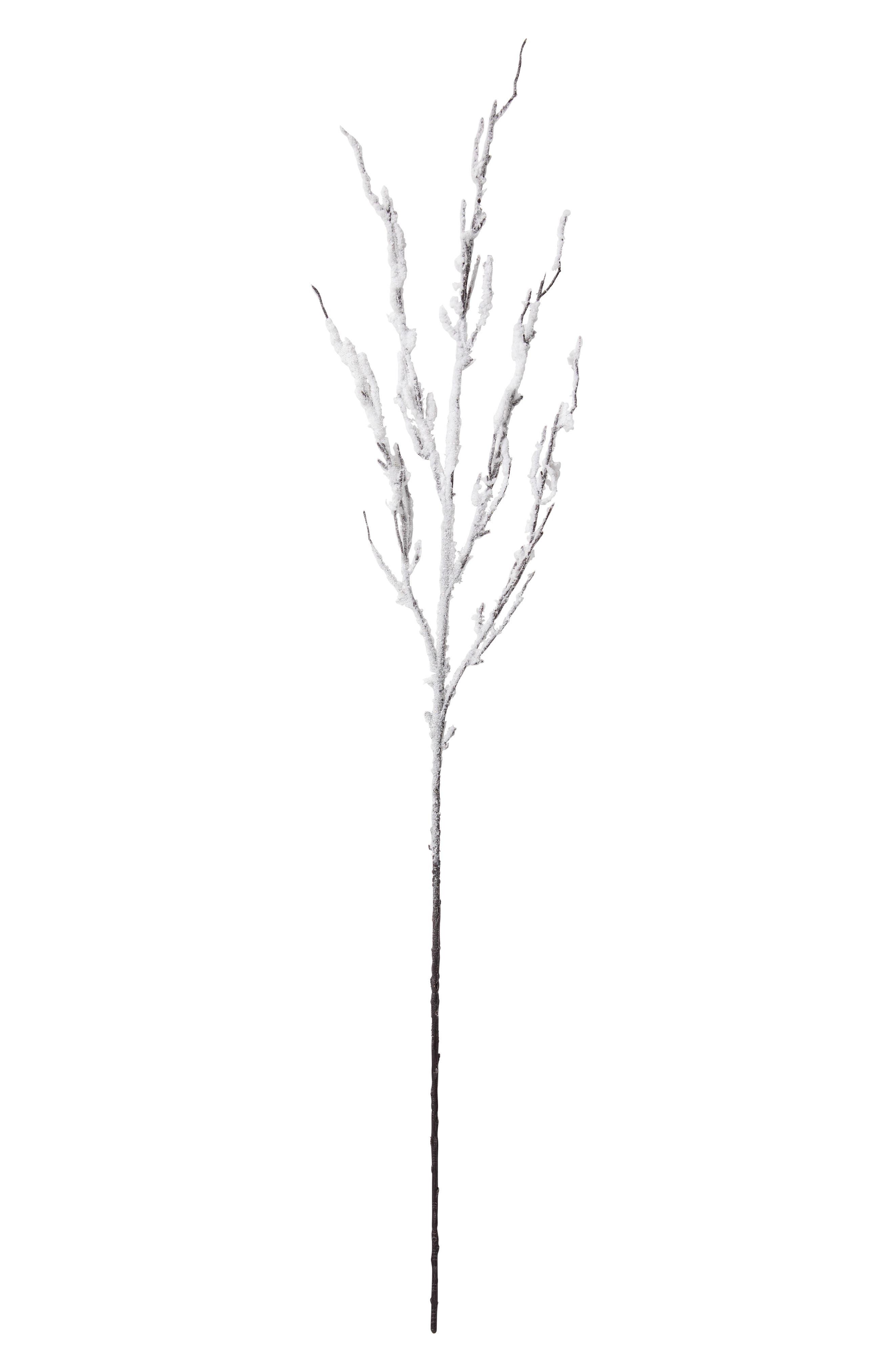 Balsam Hill Snowy Branch Set of 12 Picks in White 