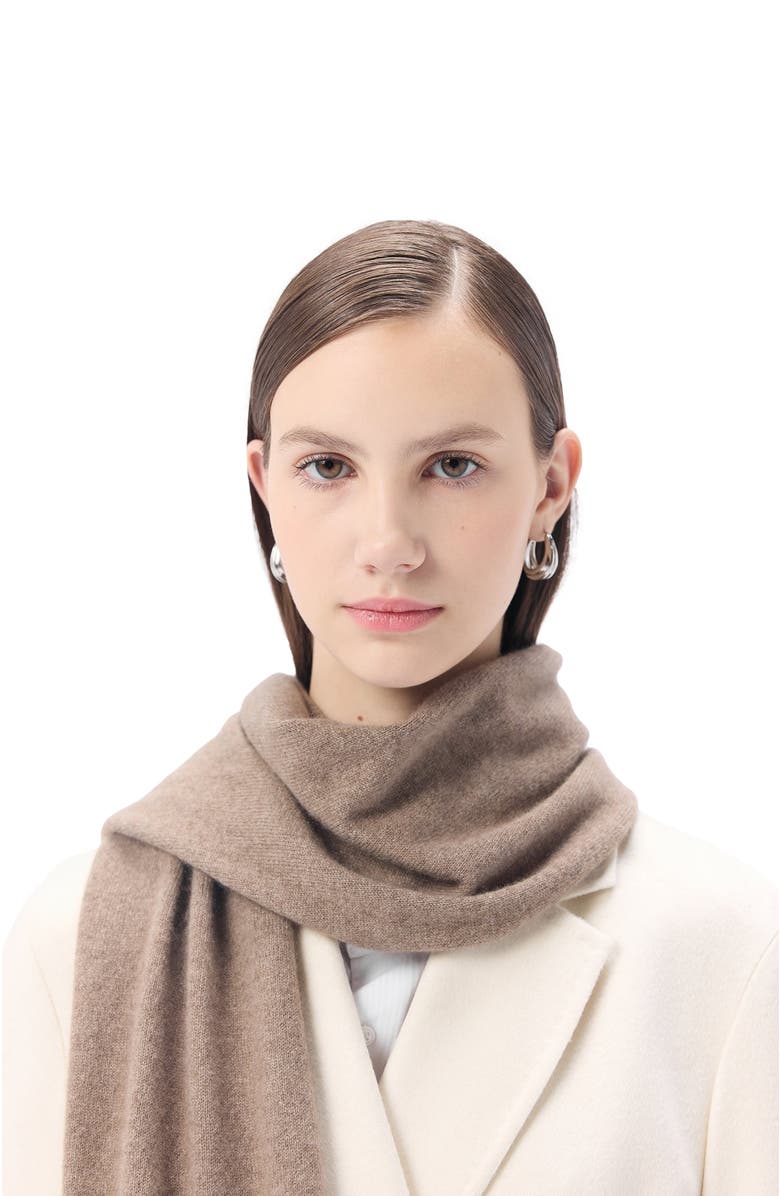 GOBI Mongolian Cashmere Cashmere Jersey Knit scarf, Alternate, color, Taupe