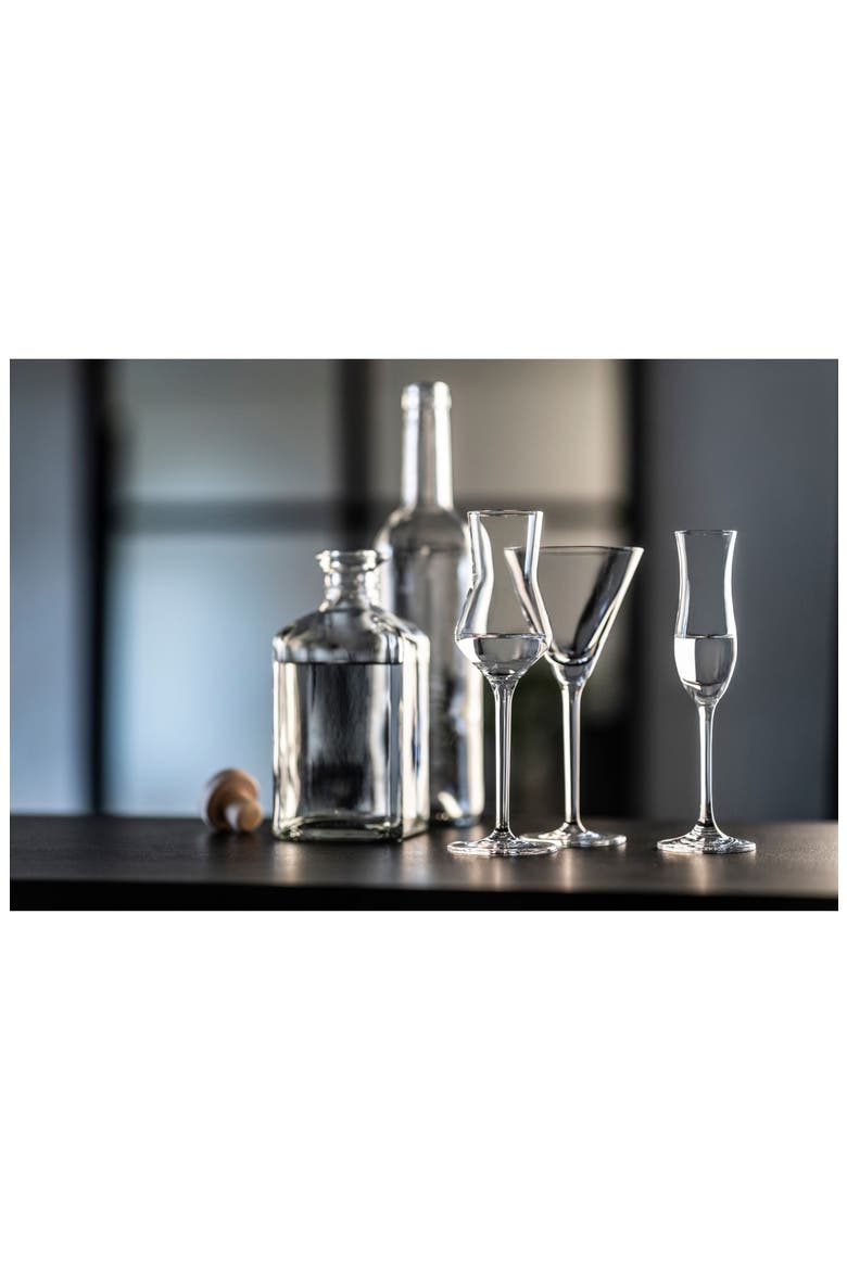Schott Zwiesel Bar Special Set of 6 Martini Glasses, Alternate, color, CLEAR
