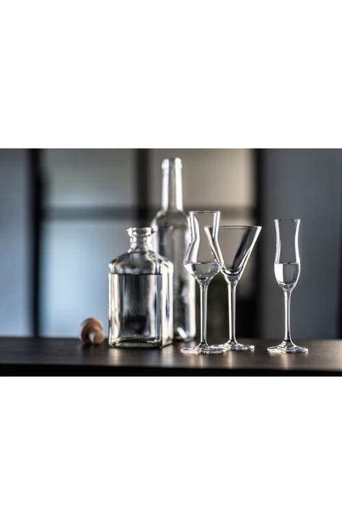 Fortessa Schott Zwiesel Bar Special Set Of 6 Martini Glasses In Clear