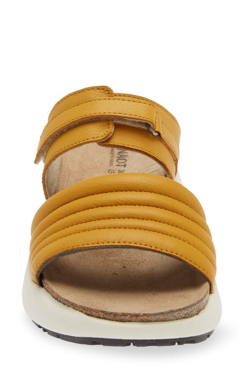 Naot Vesta Sandal In Marigold Leather