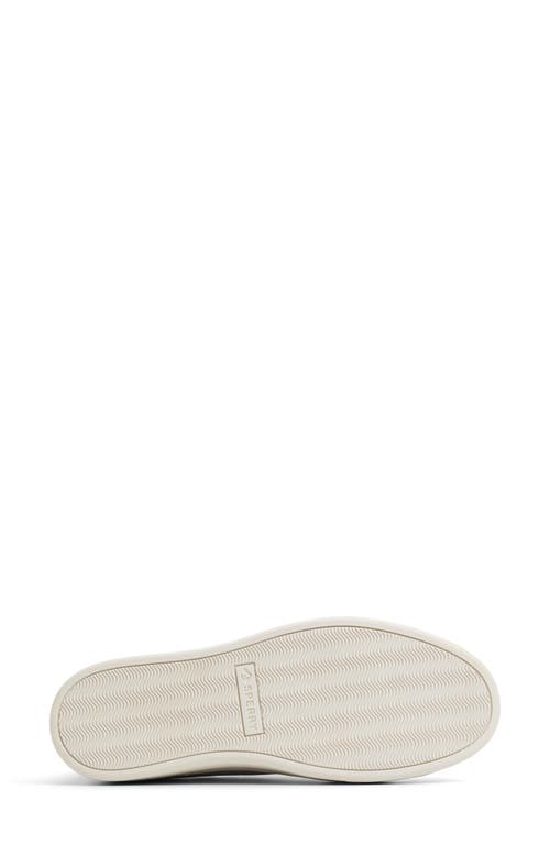 Sperry Candy Low Top Sneaker In Sleet Leather Smooth