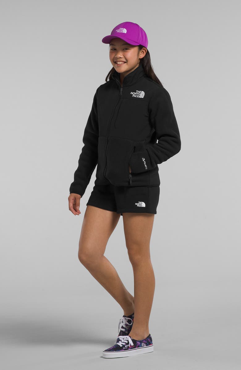 The North Face Kids' Denali Water Resistant Fleece Jacket, Alternate, color, 