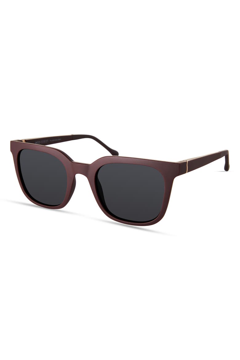 Tybee Sunglasses, Alternate, color, Chestnut Brown