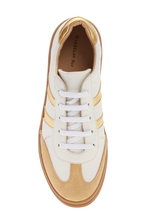 Chocolat Blu Valox Sneaker In Multi