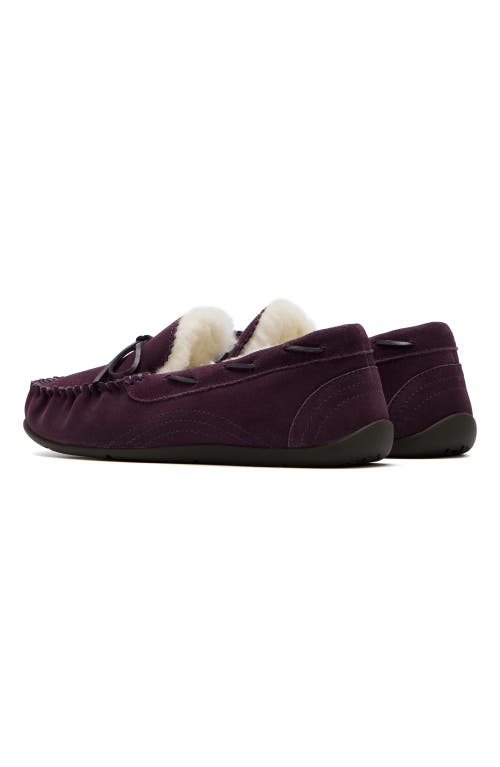 Abeo Amble Bow Slipper In Dark Purple - Regular