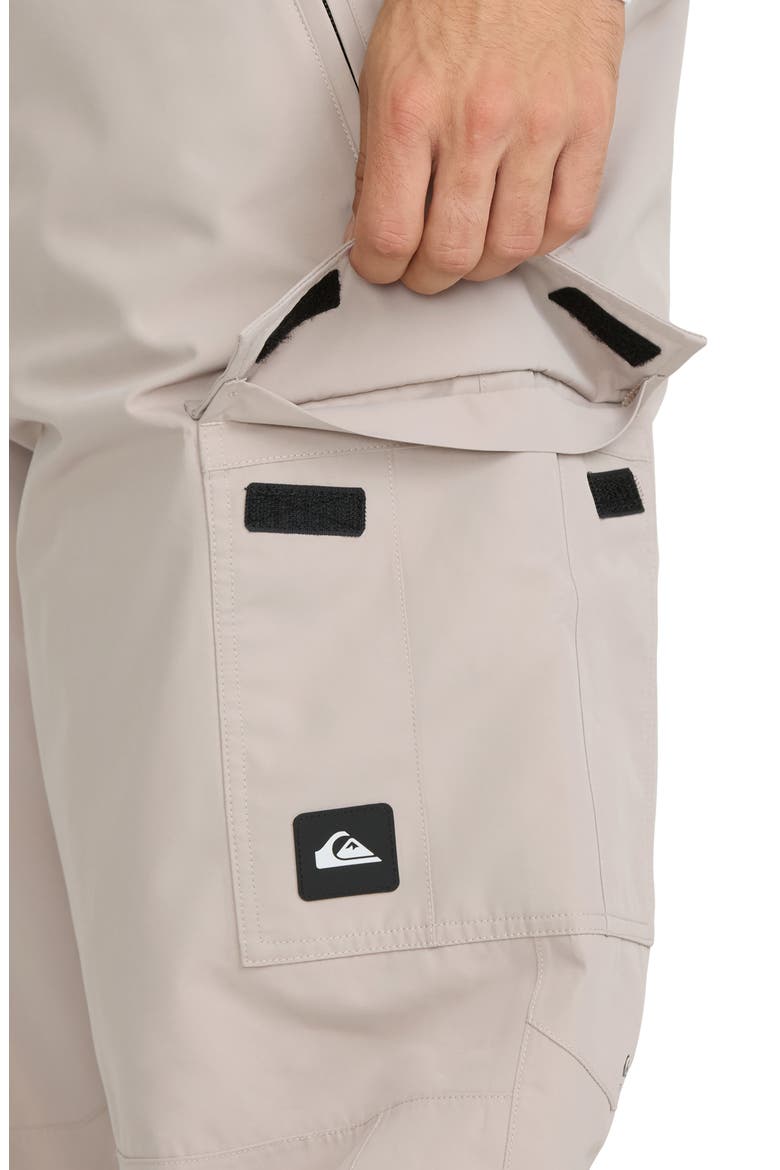 Porter 20K Waterproof Performance Cargo Snow Pants, Alternate, color, STRING
