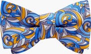 Beau Ties of Vermont Turbinio Bow Tie