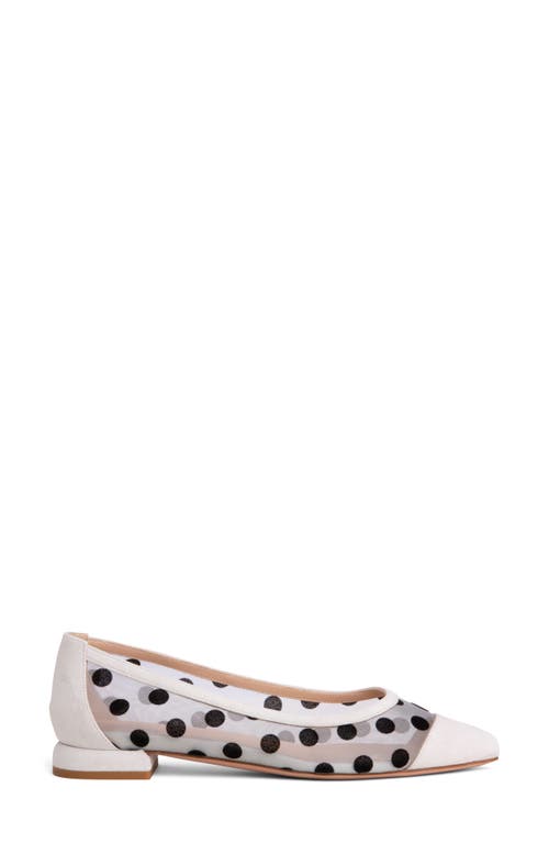 Beautiisoles Blake Pointed Cap Toe Flat In Off White
