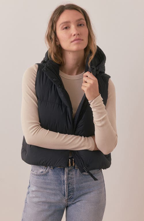 Marine Layer Zoe Hooded Puffer Vest In Black