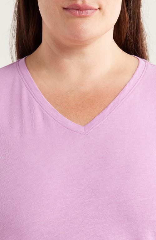 Eileen Fisher Easy V-neck Organic Cotton T-shirt