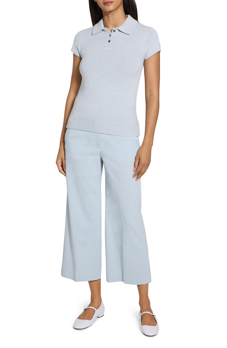 Theory Wave Bo Cap Sleeve Cotton & Merino Wool Polo Sweater, Alternate, color, Pearl Blue