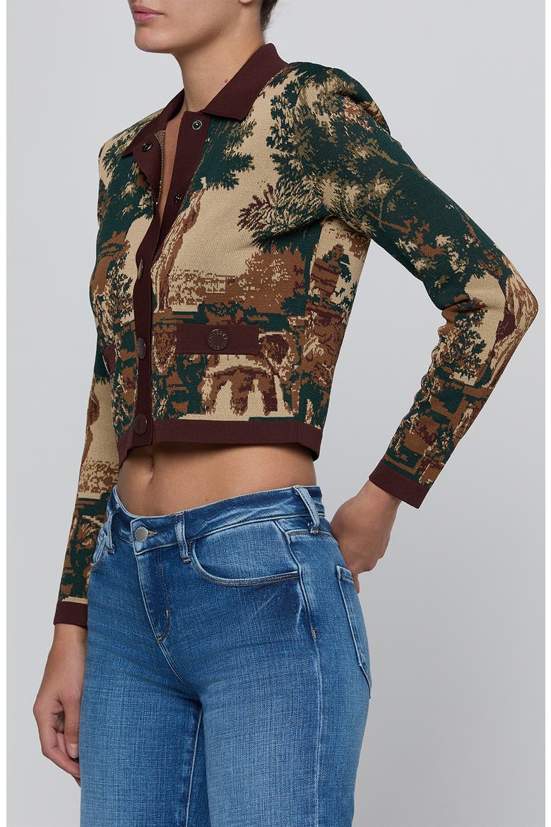 Osiris Jacquard Knit Jacket, Alternate, color, MULTI SCENIC TAPESTRY PRINT