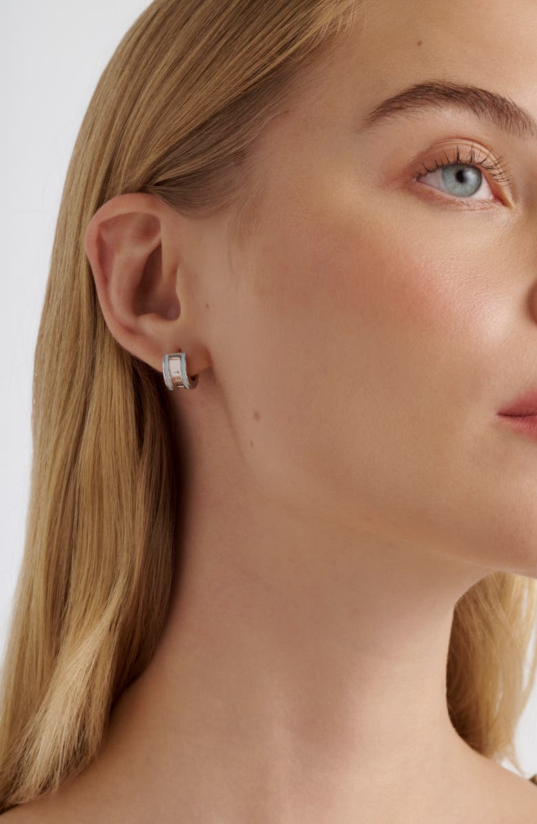 Ted Baker Rolo Classic Color Huggie Hoop Earrings, Alternate, color,