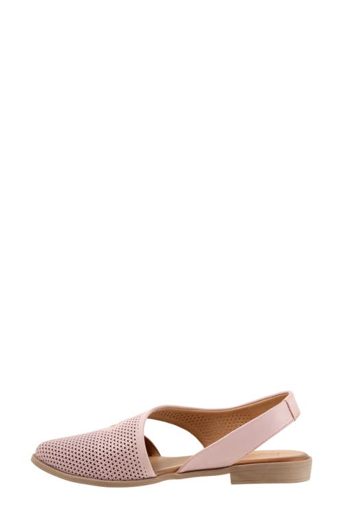 Bueno Bianca Perf Slingback Pointed Toe Flat