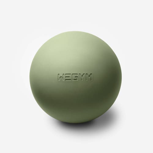 WeGym Fitness Ball in Forest at Nordstrom