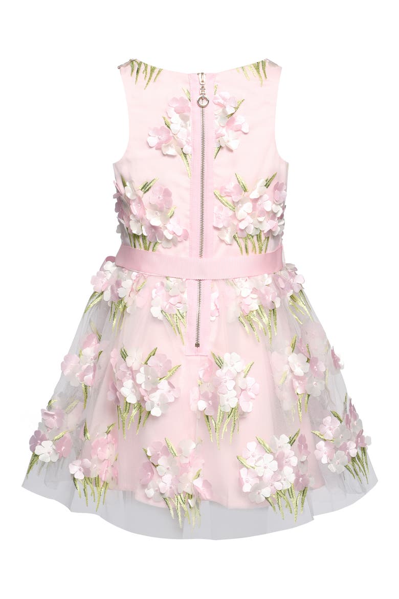 Kids' Embroidered Party Dress, Alternate, color, PINK MULTI