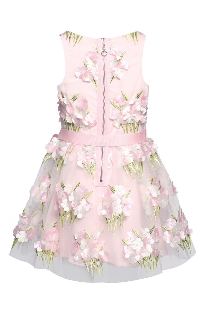 Truly Me Kids' Embroidered Party Dress, Alternate, color, Pink Multi