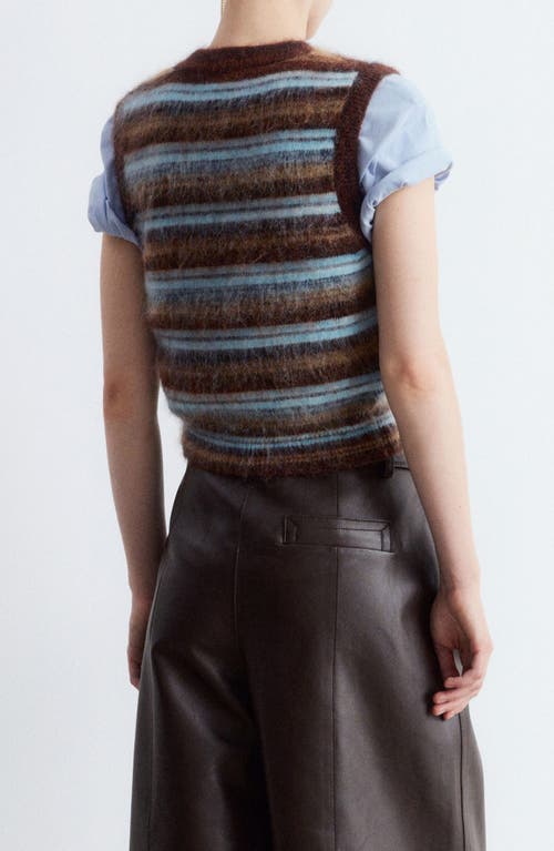 & Other Stories Stripe Wool & Mohair Blend Sweater Vest In Brown