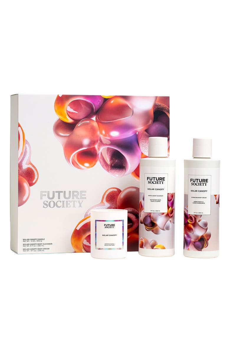 Future Society Deluxe Solar Canopy 3-Piece Set, Main, color,