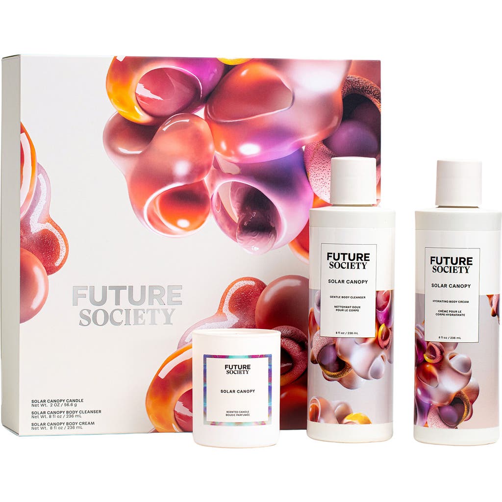 Future Society Deluxe Solar Canopy 3-Piece Set  product