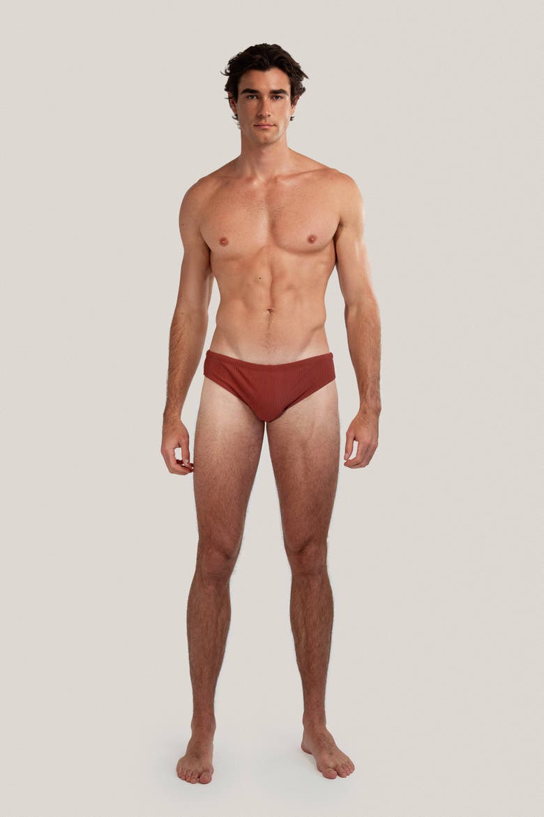 Dune Modern Cut Ribbed Stretch Swim Brief, Alternate, color, Rust