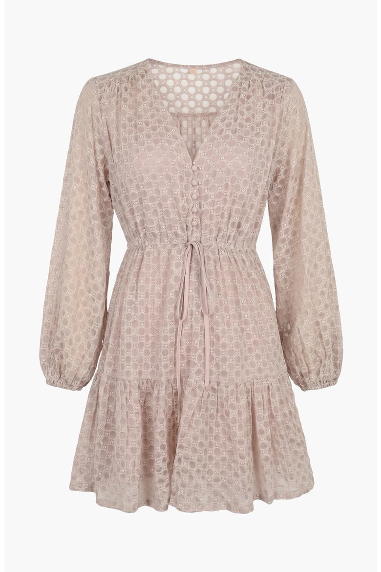 Polka Dot Embroidered Lace V-Neck Tie Waist Dress, Alternate, color, Beige