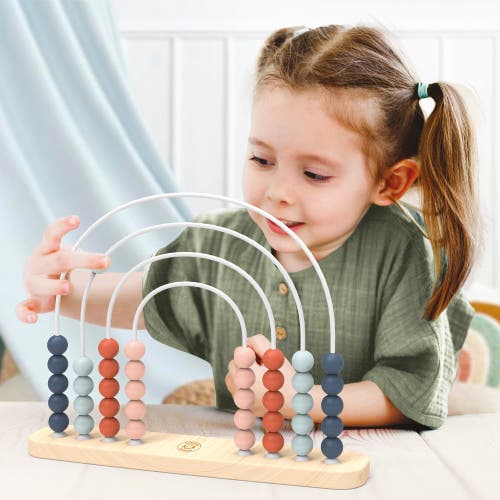 Speedy Monkey Rainbow Abacus In Multi