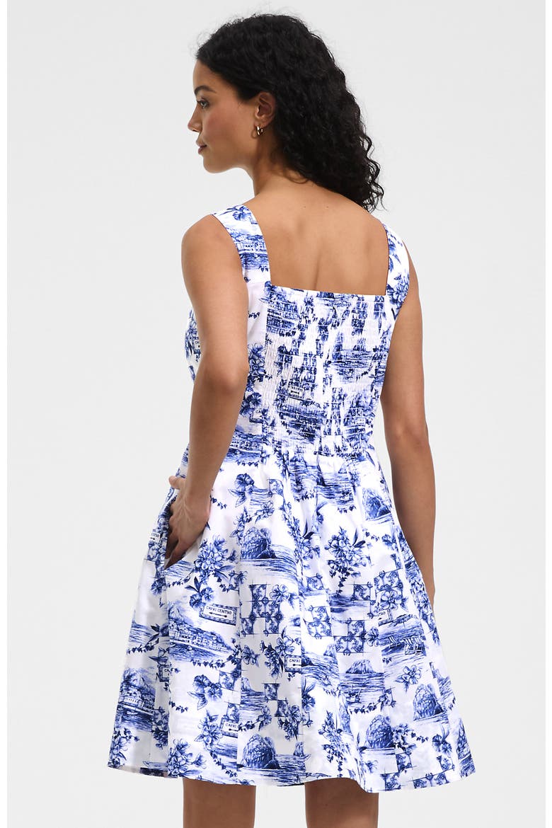 Princess Seam Poplin Above the Knee Dress, Alternate, color, White/Blue Toile